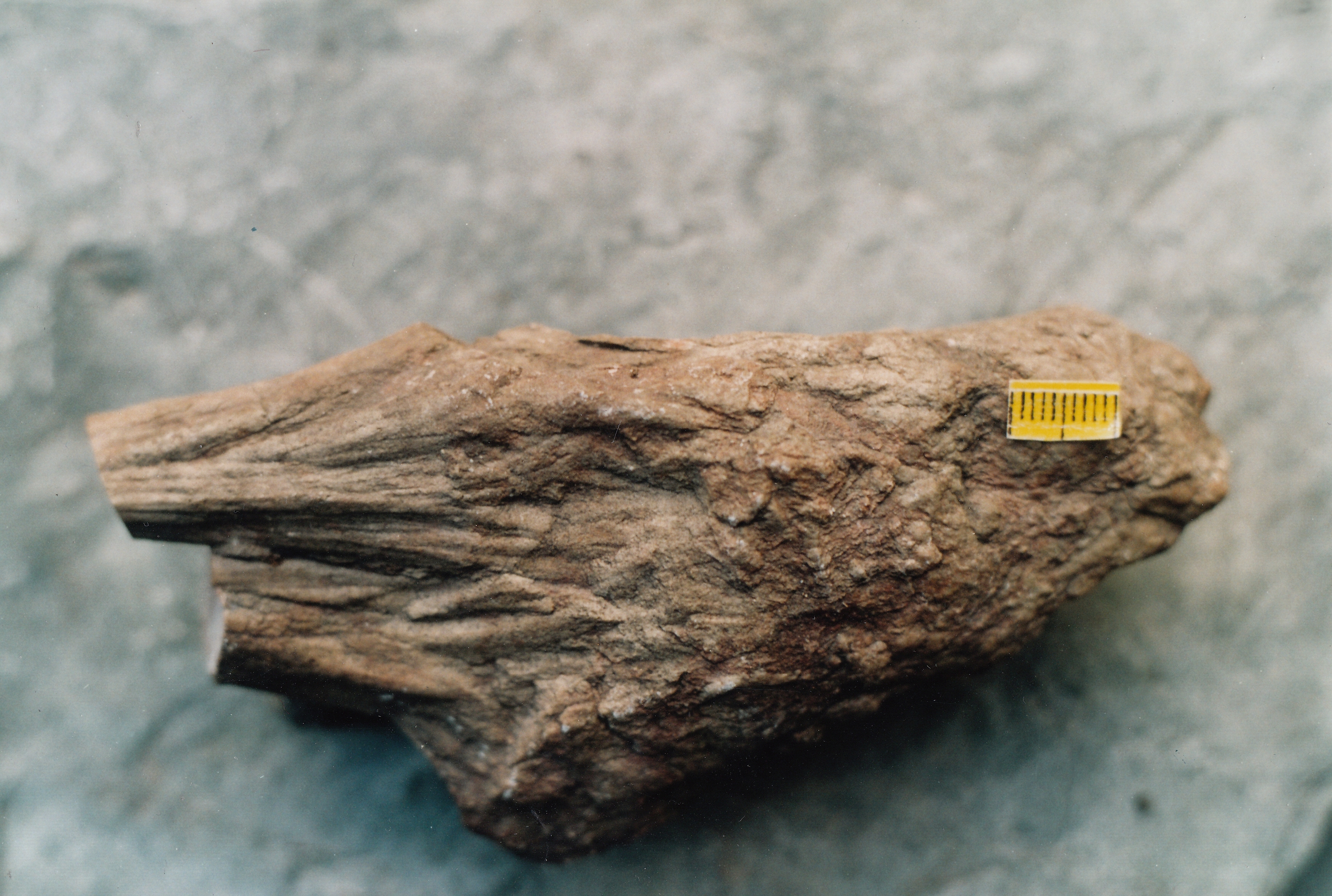 BergaerSattel 0001 2